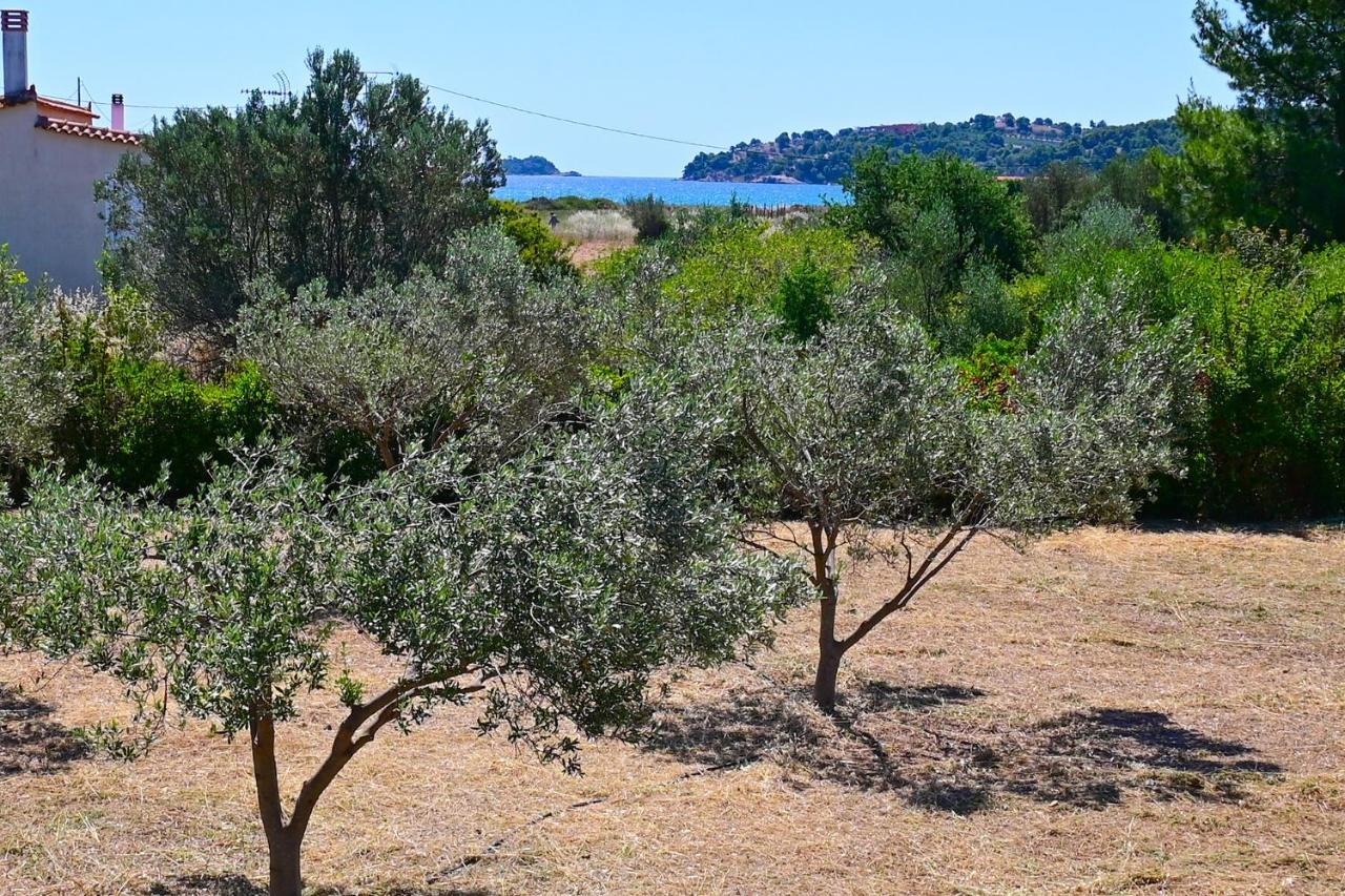 Salty Breeze Experience Vs Olive Flavor Sensation At Porto Cheli Apartment Exterior photo