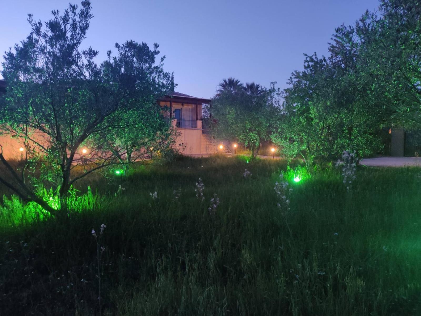 Salty Breeze Experience Vs Olive Flavor Sensation At Porto Cheli Apartment Exterior photo